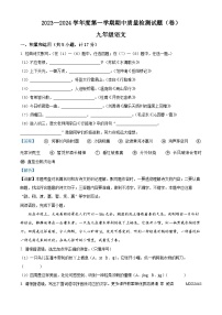陕西省宝鸡市陈仓区2023-2024学年九年级上学期期中语文试题（解析版）