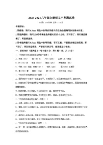 四川省眉山市天府新区2023-2024学年八年级上学期期中语文试题(含解析)