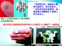 人教部编版八年级下册核舟记教学演示课件ppt