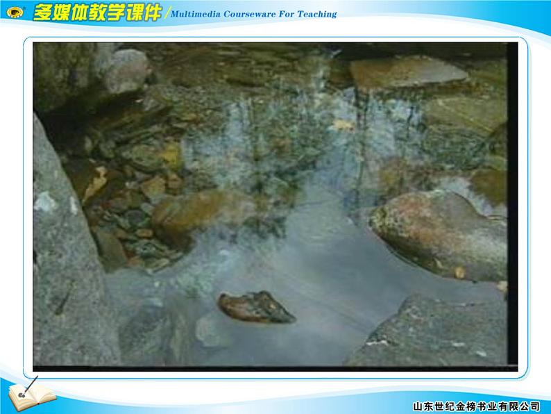 八下第三单元小石潭记同步课件05