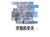 济南的冬天PPT课件3