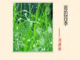 雨的四季PPT课件1