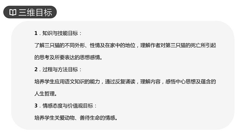 《猫》PPT课件502