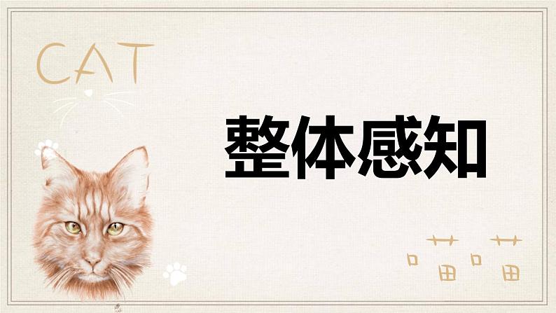 《猫》PPT课件8第5页