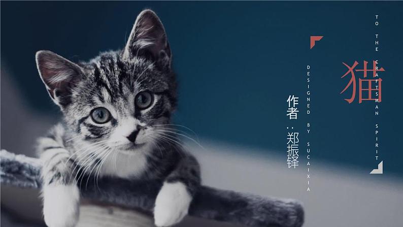 《猫》PPT课件4第1页
