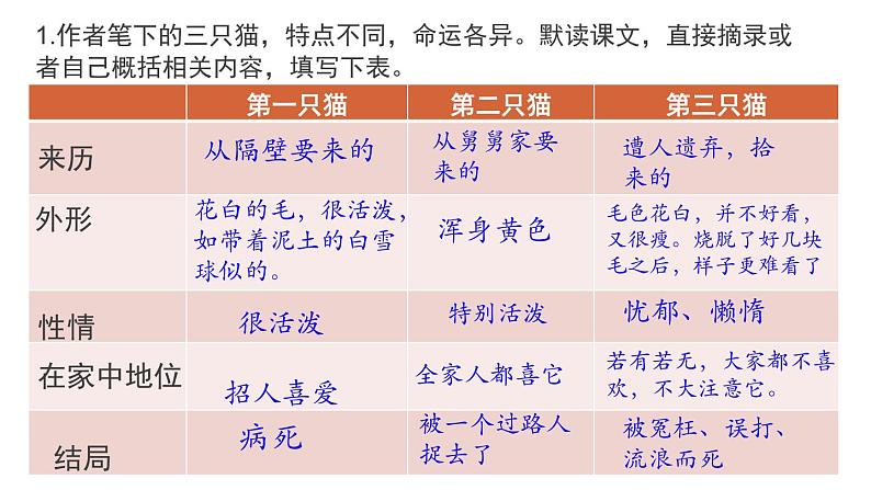 《猫》PPT课件7第8页