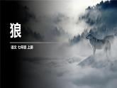 狼PPT课件5