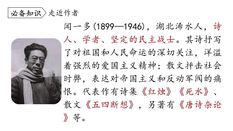 13.最后一次讲演-2024年八年级语文下册同步精品课件（统编版）第6页