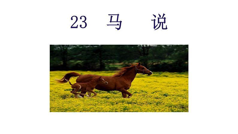 23.马说-2024年八年级语文下册同步精品课件（统编版）第5页