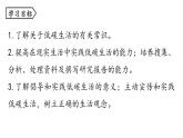 第二单元 综合性学习 倡导低碳生活-2024年八年级语文下册同步精品课件（统编版）