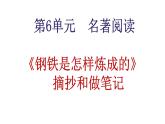 名著导读  《钢铁是怎样炼成的》摘抄和做笔记-2024年八年级语文下册同步精品课件（统编版）