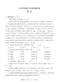 河南省驻马店市驿城区2022年秋期末质量监测试卷八年级语文（人教版）正文