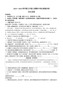 河南省漯河市召陵区2023-2024学年九年级上学期期中语文试题