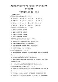 山东省莱西市经济开发区中心中学2023-2024学年九年级上学期12月月考语文试题