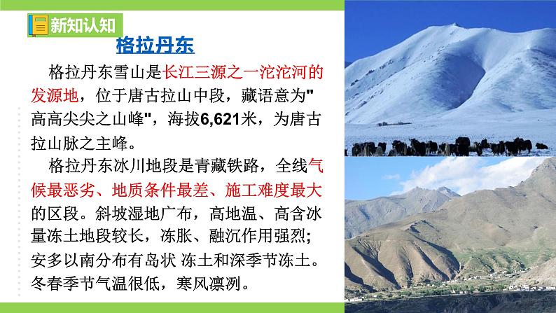 18 【核心素养】部编版初中语文八年级下册18《在长江源头各拉丹东》课件+教案+导学案（师生版）+同步测试（含答案）04