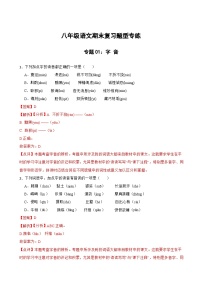 专题01：字音 2023-2024年八年级上册语文期末复习专练题型(统编版）