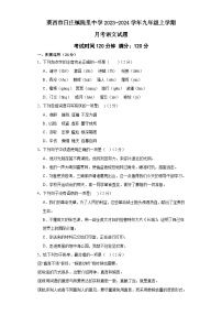 山东省莱西市日庄镇院里中学2023-2024学年九年级上学期12月月考语文试题