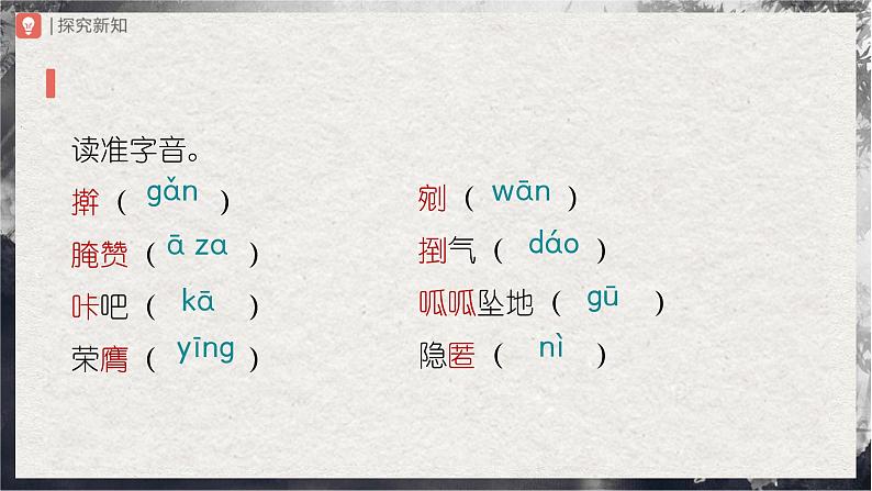 【部编版】九下语文   8《蒲柳人家（节选）》（第1课时）（课件+教案+导学案）05