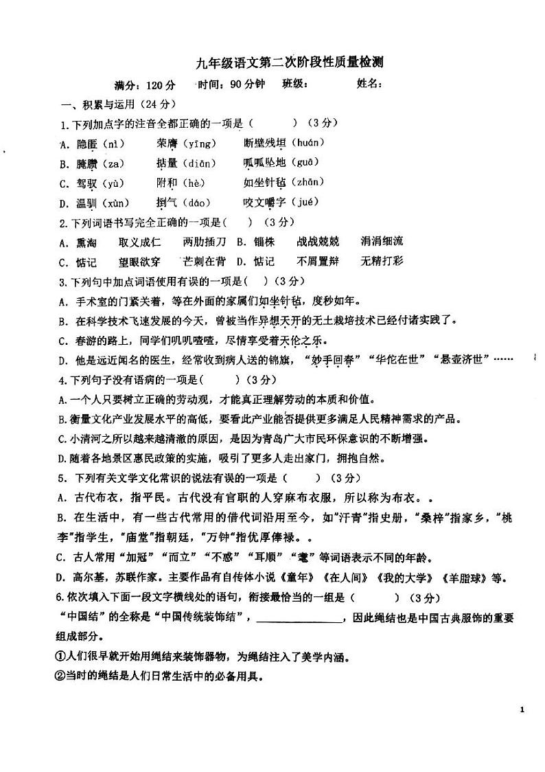 山东省青岛市胶州市瑞华实验初级中学2023-2024学年九年级上学期12月月考语文试题01