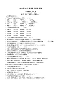 山东省菏泽市曹县2023-2024学年八年级上学期期中语文试题(含答案)
