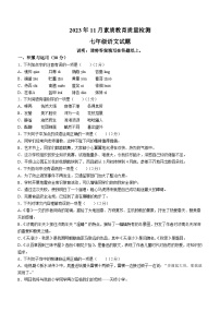 山东省菏泽市曹县2023-2024学年七年级上学期期中语文试题