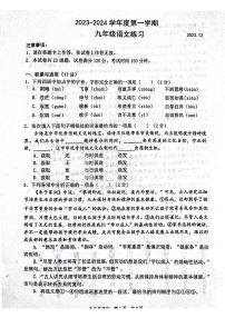 辽宁省大连市瓦房店市第三初级中学2023-2024学年九年级上学期12月月考语文试题