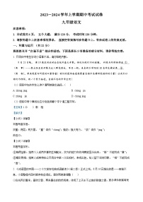 河南省新乡市长垣市2023-2024学年九年级上学期期中语文试题（解析版）