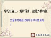 第8课《列夫.托尔斯泰》课件2023-2024学年统编版语文八年级上册