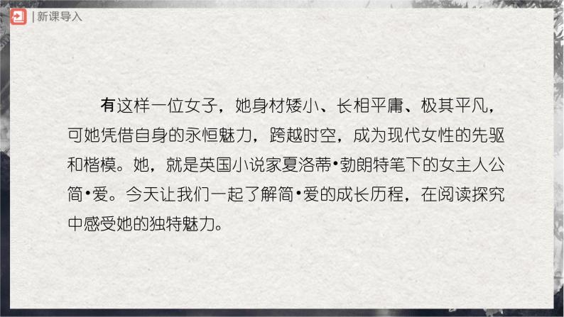 【部编版】九下语文   名著导读 《简·爱》外国小说的阅读（课件+教案+导学案）02