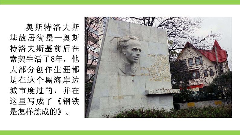 【核心素养】部编版初中语文八下第六单元名著导读《钢铁是怎样炼成的》（课件+教案+测试）07