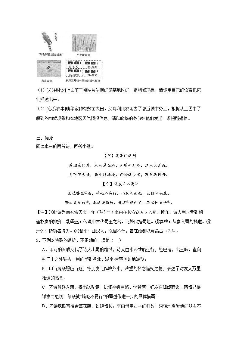 部编版语文八年级上册期末综合练习（一）02