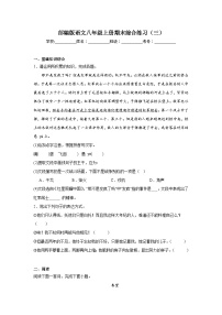 部编版语文八年级上册期末综合练习（三）