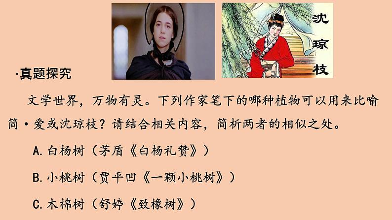 初中中考名著联读名著复习 课件第5页