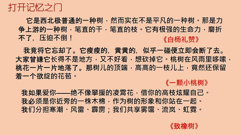 初中中考名著联读名著复习 课件第6页