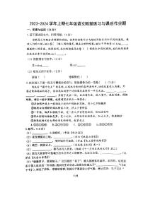 河南省郑州市枫杨外国语学校2023-2024学年七年级上学期12月月考语文试卷