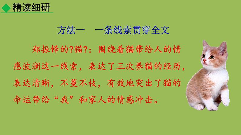 统编版语文七年级上册写作《如何突出中心》课件04