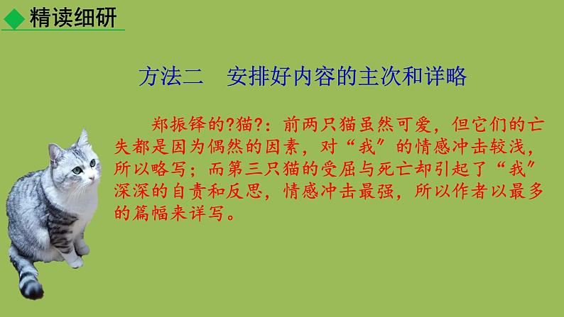 统编版语文七年级上册写作《如何突出中心》课件05