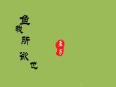 统编版语文九年级下册《鱼我所欲也》课件