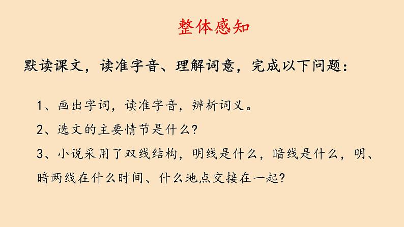 统编版语文九年级上册《智取生辰纲》课件05