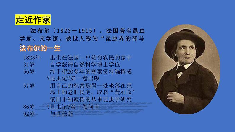 八年级语文上册名著导读《昆虫记》课件03