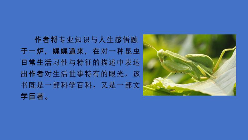 八年级语文上册名著导读《昆虫记》课件05