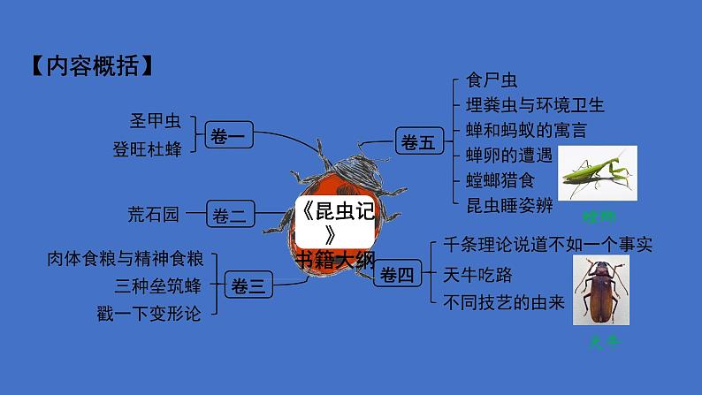 八年级语文上册名著导读《昆虫记》课件07