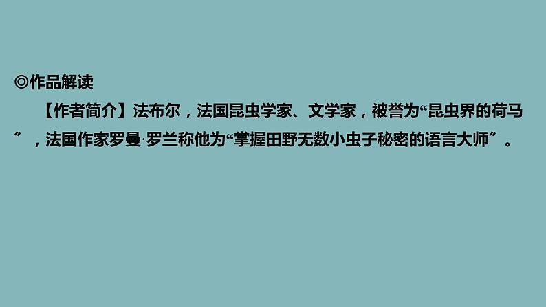 统编版语文八年级上册名著导读《昆虫记》课件04
