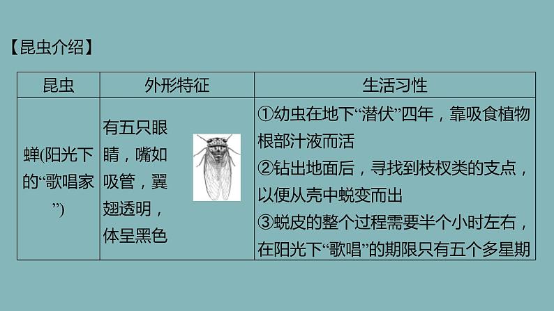 统编版语文八年级上册名著导读《昆虫记》课件07