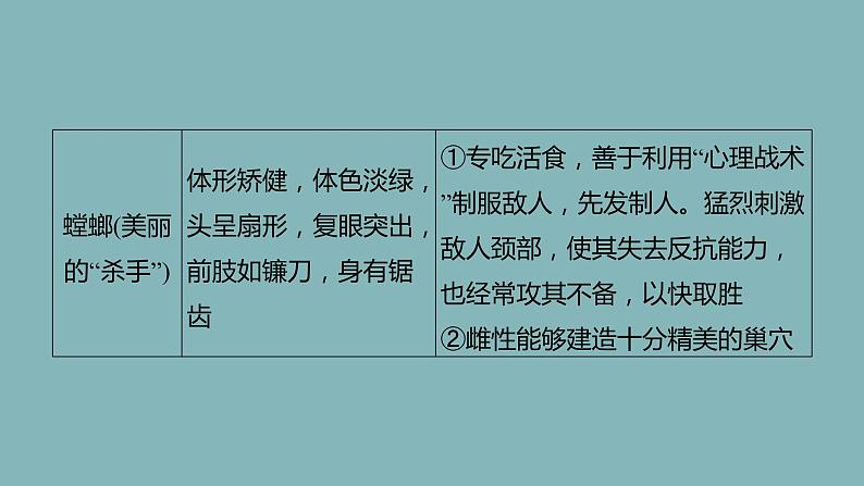 统编版语文八年级上册名著导读《昆虫记》课件08