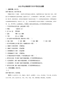 2023年山东省济宁市中考语文真题