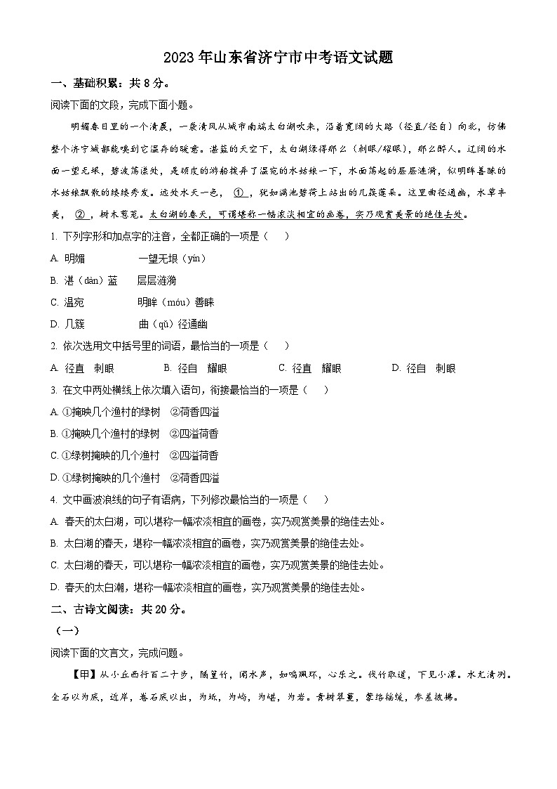 2023年山东省济宁市中考语文真题01