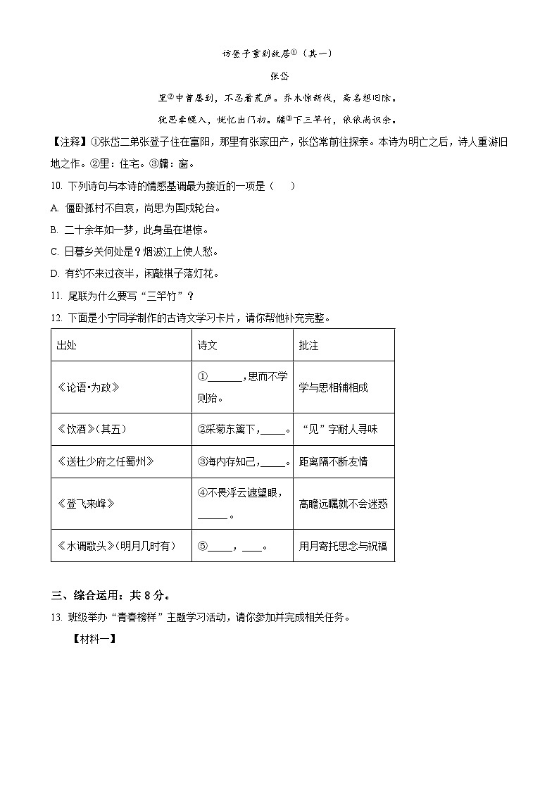 2023年山东省济宁市中考语文真题03