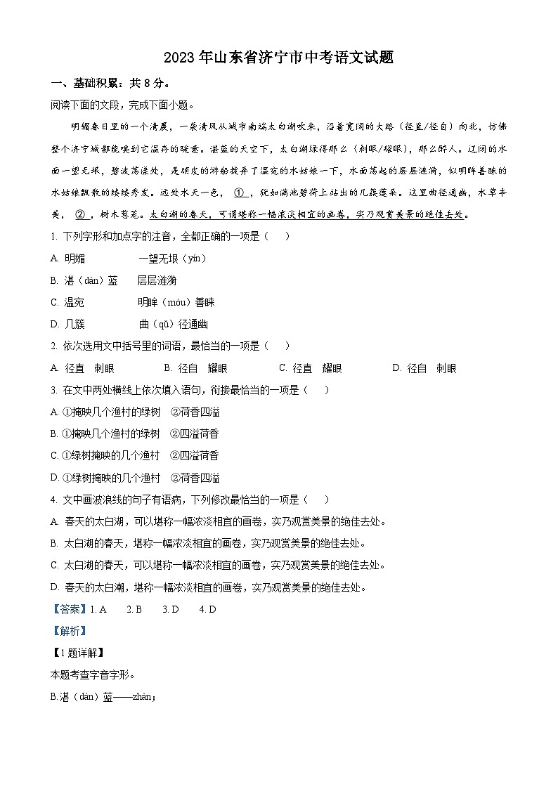 2023年山东省济宁市中考语文真题01