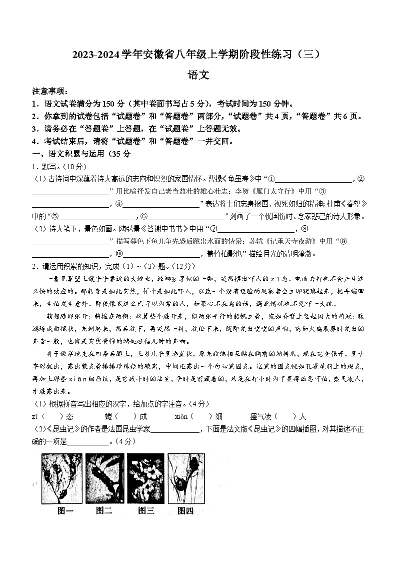 安徽省宿州市砀山重点中学2023-2024学年八年级上学期12月质量调研语文试题（含答案）01